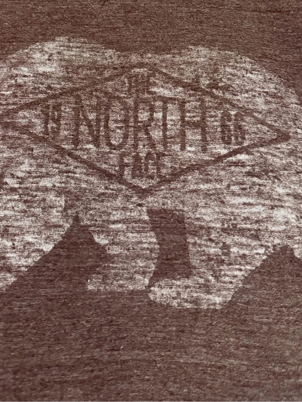 The North Face Mens Raglan Long Sleeve T-Shirt Size Large 2-Tone Bear Logo B13
